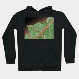 Extreme closeup detail Illustration of Stinging Nettle Hoodie